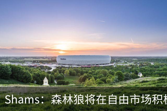 Shams：森林狼将在自由市场积极补强4号位 但他们只能提供底薪